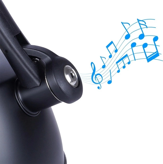 Чайник Vilde зі свистком сталевий чорний з термометром 3 л (5904316457112) - зображення 2