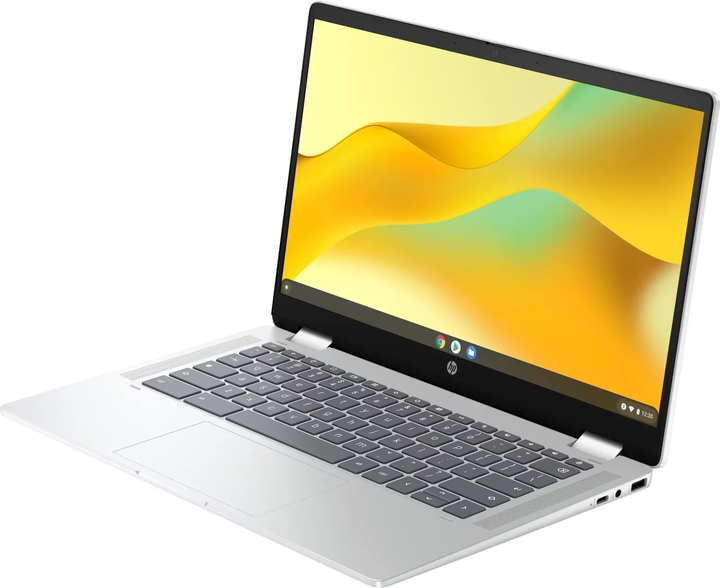 Ноутбук HP Chromebook x360 (198828598608) Silver – фото, отзывы