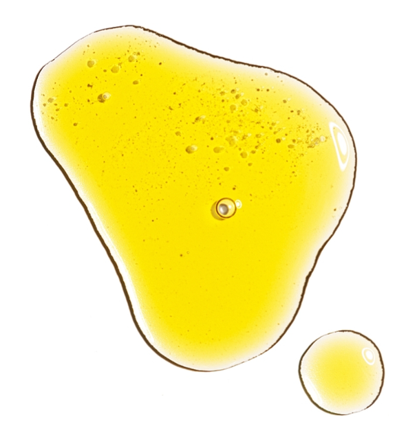 Олія для обличчя The Ordinary шипшини холодного віджиму 30 мл (769915195552) - зображення 2