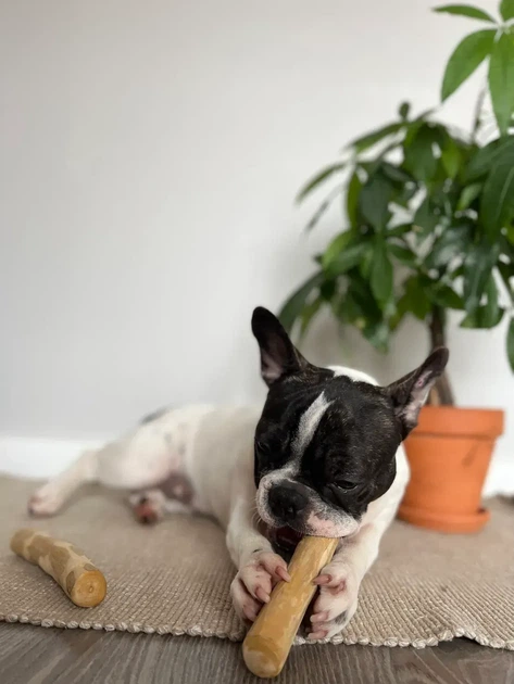 HealthyDoggo Coffee Stick Кавова палиця для собак S - Фото 2 HealthyDoggo Coffee Stick Кавова палиця для собак S - изображение 2