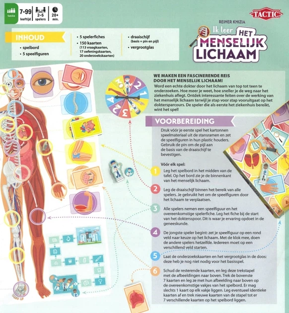 Gra planszowa Tactic Się uczę - ludzkie ciało (6416739605500) - obraz 4