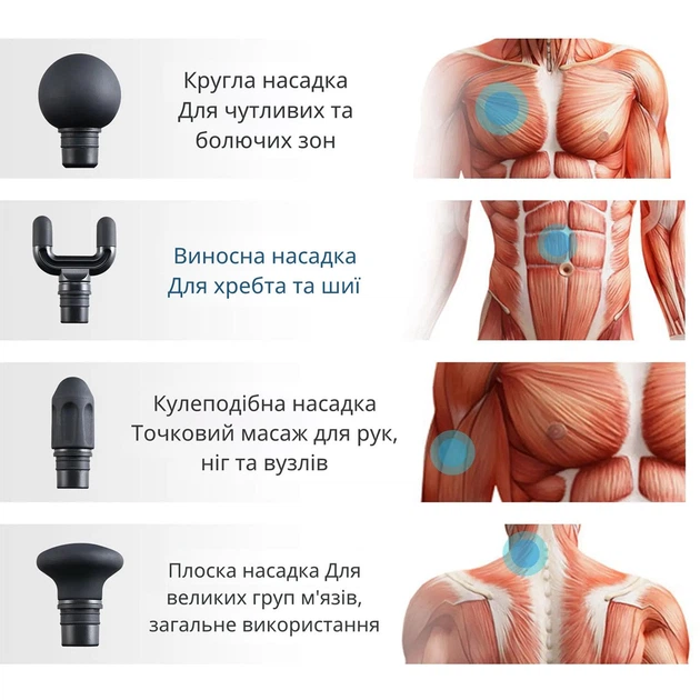 Портативный перкуссионный массажер 2 в 1 для мышц спины шеи рук массажный ручной аккумуляторный вибро пистолет для тела и ног ударный антицеллюлитный электромассажер с длинной ручкой вибрационный импульсный для расслабления и восстановления поясницы плеч - Фото 7 Портативный перкуссионный массажер 2 в 1 для мышц спины шеи рук массажный ручной аккумуляторный вибро пистолет для тела и ног ударный антицеллюлитный электромассажер с длинной ручкой вибрационный импульсный для расслабления и восстановления поясницы плеч - изображение 7