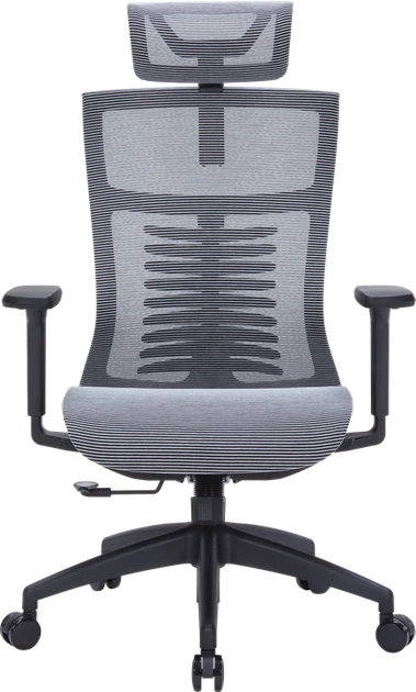 Крісло офісне OfficePro Balance OC620-B-DG-DG - Фото 2 Крісло офісне OfficePro Balance OC620-B-DG-DG - зображення 2