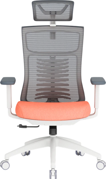 Крісло офісне OfficePro Balance OC550-W-DG-OR - зображення 2