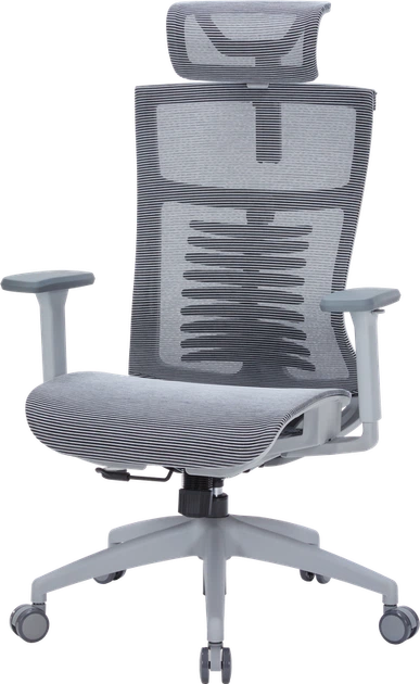 Крісло офісне OfficePro Balance OC620-G-DG-DG - Фото 1 Крісло офісне OfficePro Balance OC620-G-DG-DG - зображення 1