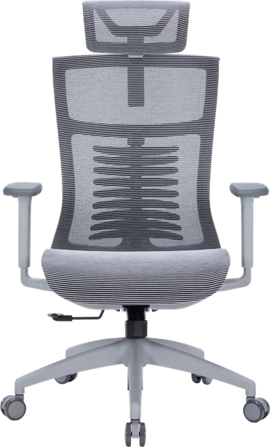 Крісло офісне OfficePro Balance OC620-G-DG-DG - Фото 2 Крісло офісне OfficePro Balance OC620-G-DG-DG - зображення 2