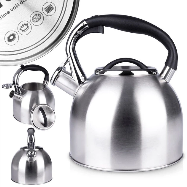 Czajnik Orion z gwizdkiem stalowy Szary 2.7 l (8592381138134) - obraz 5