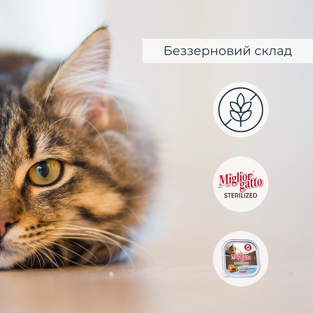 Консервований корм Morando Migliorgatto Sterilized Беззернові консерви для стерилізованих котів з блакитною рибою та креветками 100 г (m01455) - Фото 4 Консервований корм Morando Migliorgatto Sterilized Беззернові консерви для стерилізованих котів з блакитною рибою та креветками 100 г (m01455) - зображення 4