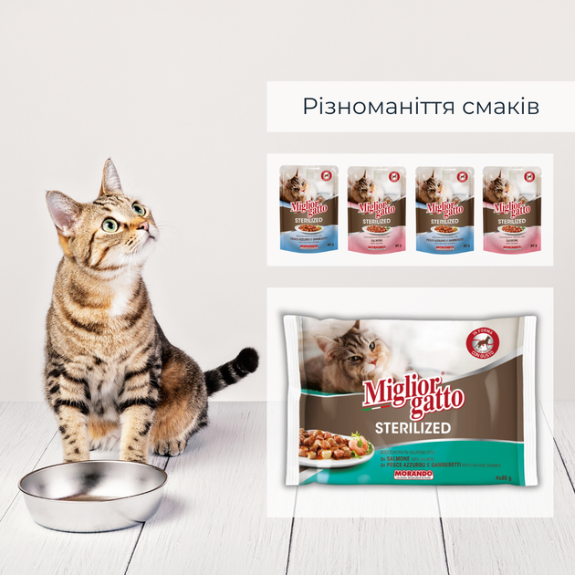 Консервований корм Morando Migliorgatto Sterilized Набір консервів для стерилізованих котів лосось 2 шт + риба та креветки 2 шт 4 шт х 85 г (m01480) - Фото 2 Консервований корм Morando Migliorgatto Sterilized Набір консервів для стерилізованих котів лосось 2 шт + риба та креветки 2 шт 4 шт х 85 г (m01480) - зображення 2