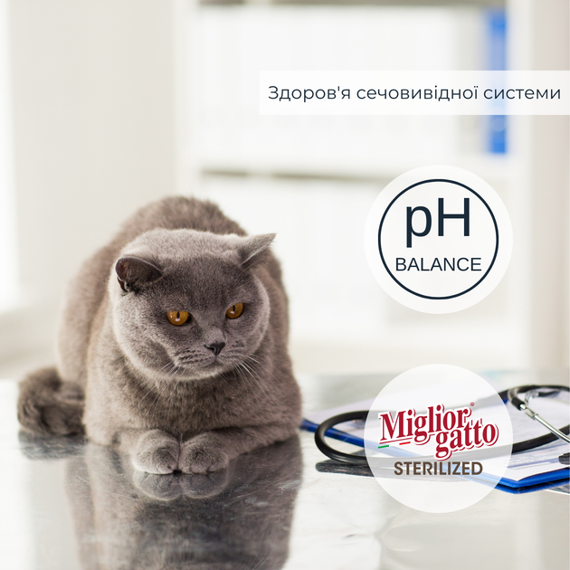 Консервированный корм Morando Migliorgatto Sterilized Беззерновые консервы для стерилизованных кошек рыба и креветки кусочки в желе 85 г (m01470) - изображение 2