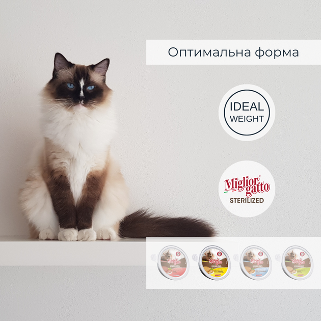 Консервований корм Morando Migliorgatto Sterilized Беззернові консерви для стерилізованих котів мус з куркою та прошуто 85 г (m01460) - зображення 3