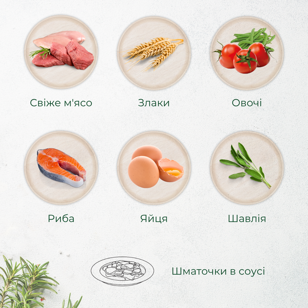 Консервированный корм Morando Tradizioni Консервы для собак кусочки в соусе с курицей, стручковой фасолью и томатами 405 г (m02773) - изображение 3