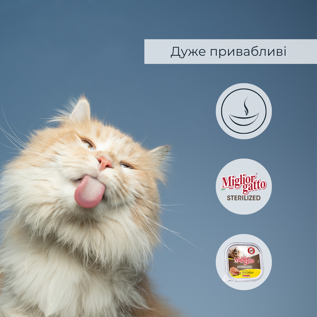 Консервированный корм Morando Migliorgatto Sterilized Беззерновые консервы для стерилизованных кошек с курицей и прошутто 100 г (m01451) - изображение 5