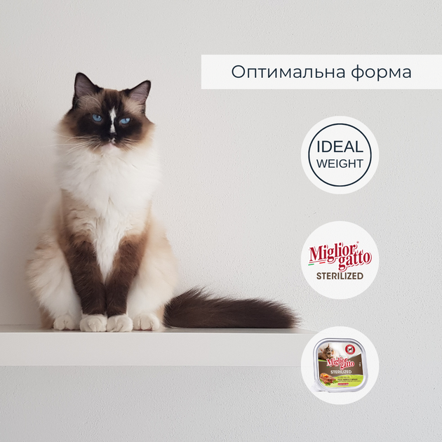 Консервированный корм Morando Migliorgatto Sterilized Беззерновые консервы для стерилизованных кошек с курицей ягненком и овощами 100 г (m01452) - Фото 3 Консервированный корм Morando Migliorgatto Sterilized Беззерновые консервы для стерилизованных кошек с курицей ягненком и овощами 100 г (m01452) - изображение 3
