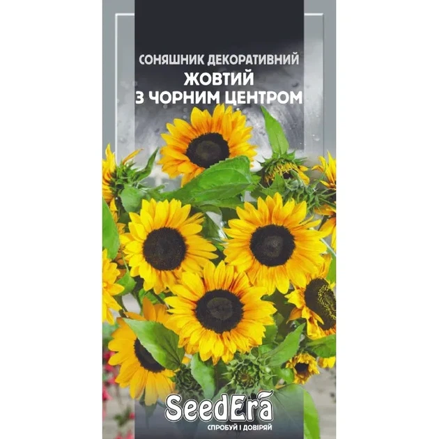 Насіння квітів Соняшник декоративний Жовтий з чорним центром 0,5г - Фото 1 Насіння квітів Соняшник декоративний Жовтий з чорним центром 0,5г - изображение 1