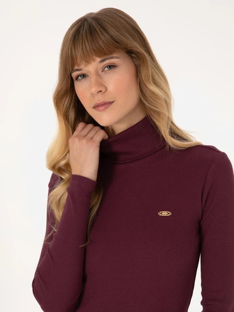 Гольф-водолазка жіноча U.S. Polo Assn G082SZ082-000-2296800 (Plum) M Бордова (8683859341856) - Фото 3 Гольф-водолазка жіноча U.S. Polo Assn G082SZ082-000-2296800 (Plum) M Бордова (8683859341856) - зображення 3
