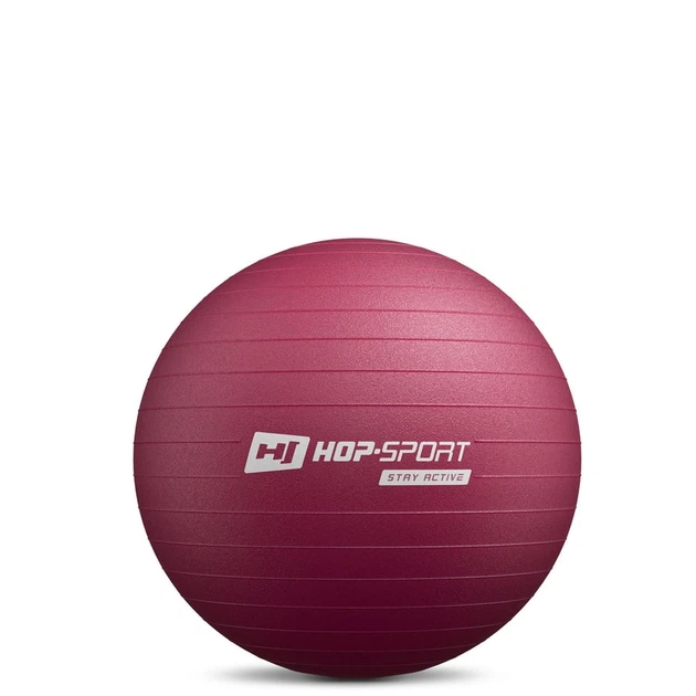 Фитбол Hop-Sport 45см сливовый + насос - изображение 2