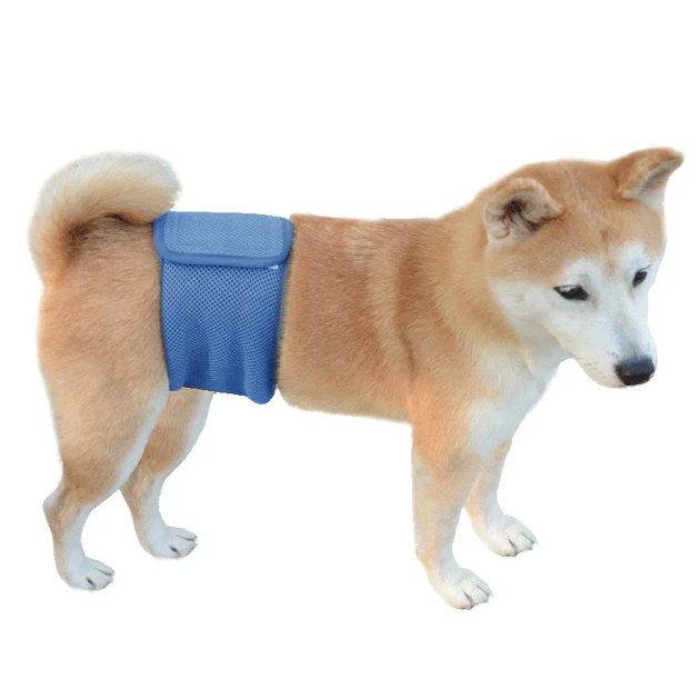 Многоразовый подгузник для кобеля Derby KS017 Blue, 2XL - изображение 2
