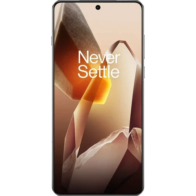 Смартфон OnePlus 13 16/512GB Arctic Dawn CN (no OTA) [123413