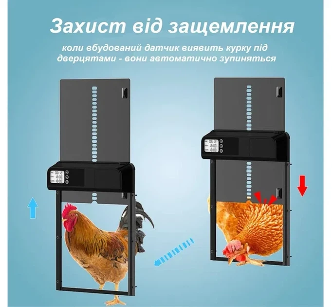 Автоматические двери для курятника с ЖК-дисплеем с таймером - Фото 2 Автоматические двери для курятника с ЖК-дисплеем с таймером - изображение 2