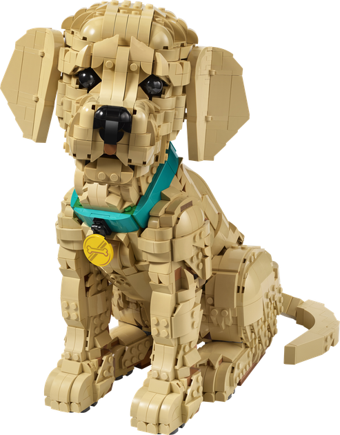Zestaw klocków LEGO Icons Szczeniak golden retriever 2102 elementy (1384) - obraz 2