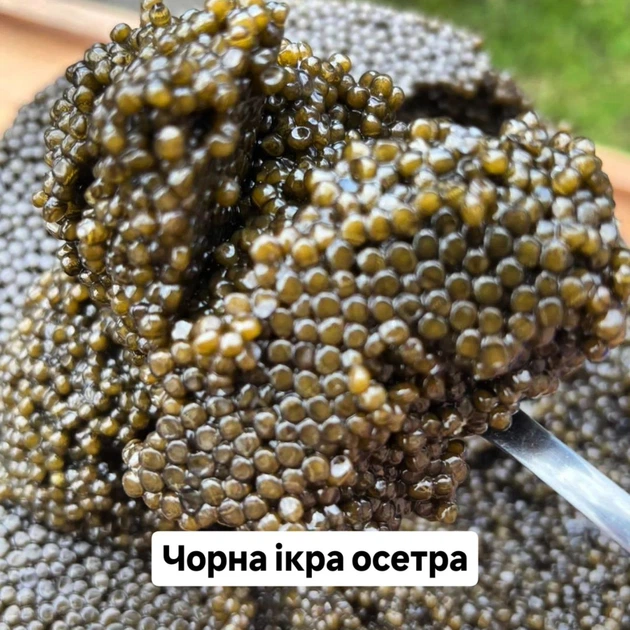 Чорна ікра осетра 500 г - изображение 2