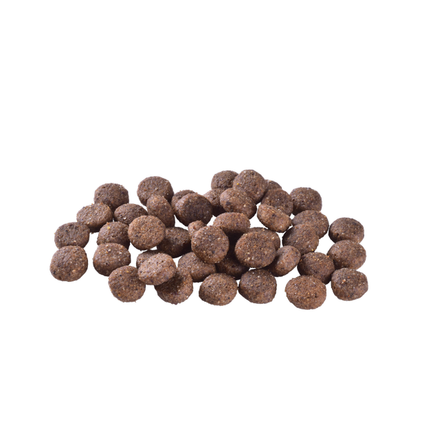 Корм сухой Brit Care Dog Grain-free Adult для взрослых собак малых и средних пород беззерновой с лососем 3 кг - изображение 2