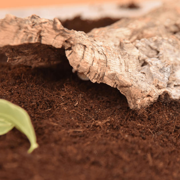 HABISTAT COIR SUBSTRATE 5 LITRES (R4100050) субстрат для тераріума - Фото 2 HABISTAT COIR SUBSTRATE 5 LITRES (R4100050) субстрат для тераріума - изображение 2