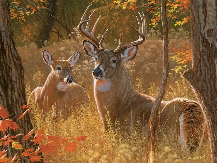 Пазл Cobble Hill Чарівне рандеву XL 275 елементів 113081 (625012480253) - зображення 2