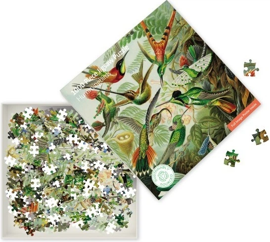 Пазл Flame Tree Колібрі 1000 елементів FTJPL09 (9781804176269) - зображення 3