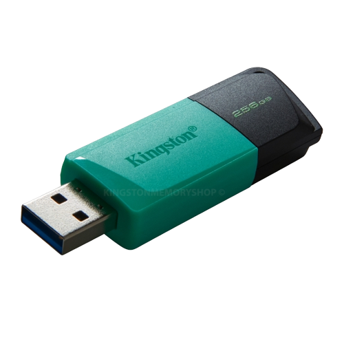 Флешка 256Гб USB 3.2 чорний/бірюзовий DT Exodia M Kingston - изображение 2