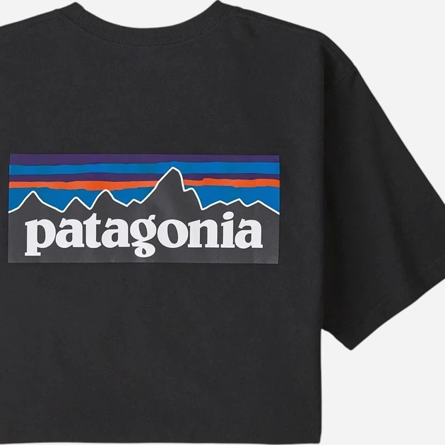 Футболка довга чоловіча Patagonia 38504-BLK L Чорна (800070265818) - зображення 3