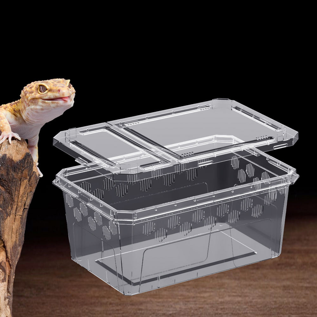 Пластиковий тераріум NOMOY PET New feeding box H11 — 25x16.2x11 см - Фото 4 Пластиковий тераріум NOMOY PET New feeding box H11 — 25x16.2x11 см - зображення 4