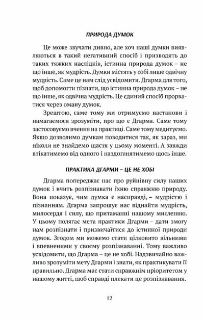 Смуток, любов, відкритість. Буддійський шлях радості. Чок'ї Ньіма Рінпоче - Фото 8 Смуток, любов, відкритість. Буддійський шлях радості. Чок'ї Ньіма Рінпоче - изображение 8