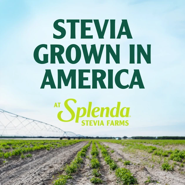 Сахарозаменитель натуральна стевия без горечи Splenda 540 г - изображение 6
