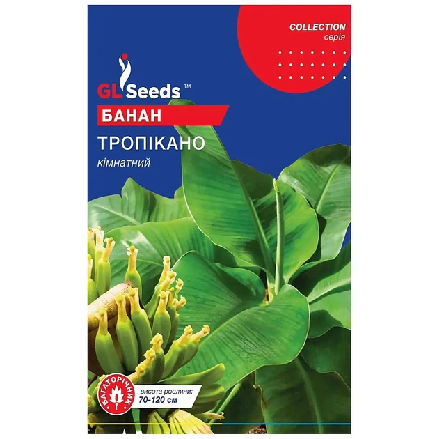 Семена Банана Тропикано 3 шт. GL Seeds - Фото 1 Семена Банана Тропикано 3 шт. GL Seeds - изображение 1