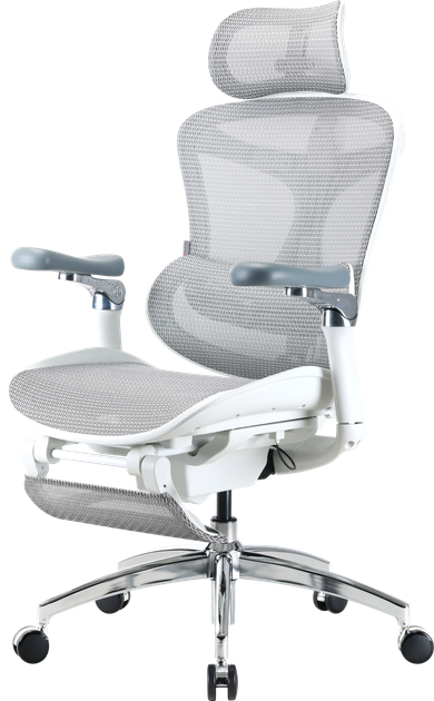 Fotel biurowy Sihoo DORO C300 Pro Mesh White (DORO-C300-PRO-M102-JT) - obraz 8
