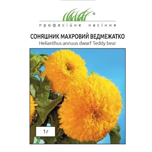 Соняшник Ведмедик махровий 1гр Професійне насіння - Фото 1 Соняшник Ведмедик махровий 1гр Професійне насіння - зображення 1