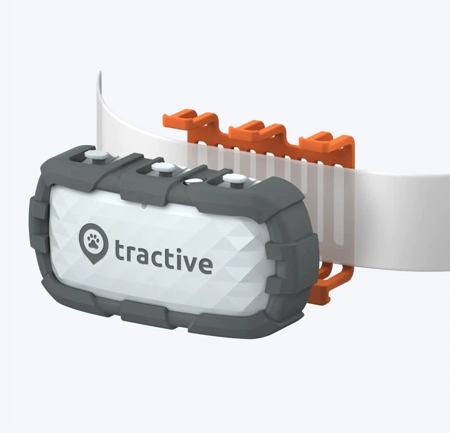Lokalizator GPS Tractive Dog XL Adventure Edition wodoodporny Szary (9120056451753) - obraz 2