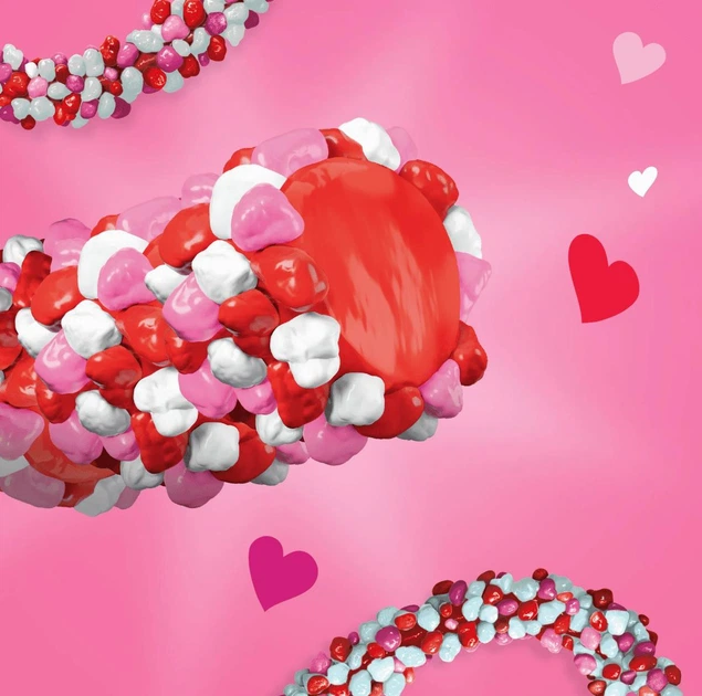 Жевательные конфеты Nerds Gummy Rope Valentines Day Candy 26г - изображение 3