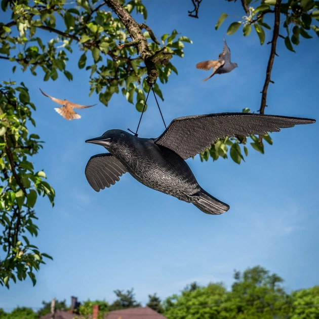 Відлякувач птахів Kadax Великий крук у польоті 56 см 2 шт. K4435 (5903699435229) - зображення 8