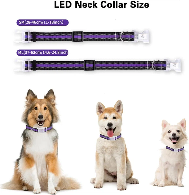 Світящийся нашийник для собак LED (USB), Водонепроникний IP68, Multi-Colour, S - Фото 4 Світящийся нашийник для собак LED (USB), Водонепроникний IP68, Multi-Colour, S - зображення 4