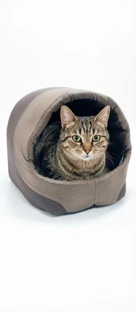 Будка для котів Фокс №1 360х320х320 мм коричнева - Фото 1 Будка для котів Фокс №1 360х320х320 мм коричнева - зображення 1