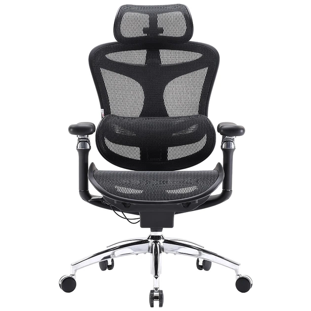 Офисное кресло Sihoo DORO C300 Pro Mesh Black (DORO-C300-PRO-M101) - изображение 2