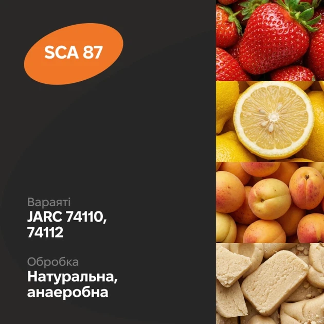 Кава під фільтр WONDER&FULL Ефіопія Дері Кідамо 96 годин 1 кг (00-00010445) - зображення 3