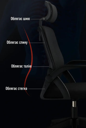 Компьютерные офисные кресла из сетки Diego ErgoFlex кресло сетковое для компьютера качественное офисное кресло кресло удобное компьютерное - изображение 10