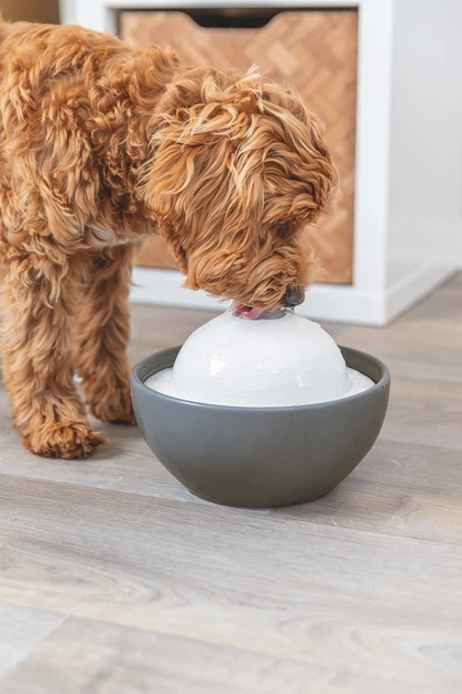 Фонтан Trixie Vital Dome керамічний для собак 1.5 л 20х10х20 см Сіро-білий - Фото 5 Фонтан Trixie Vital Dome керамічний для собак 1.5 л 20х10х20 см Сіро-білий - изображение 5