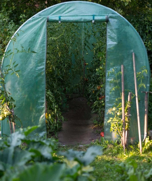 Szklarnia Plonos 4909-C - obraz 4