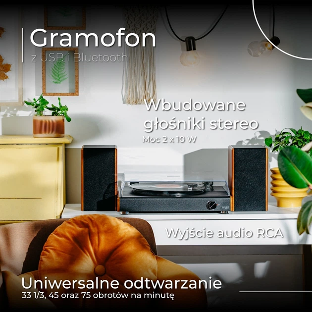 Gramofon Adler AD 1915 z USB i Bluetooth (5905575907615) - obraz 11