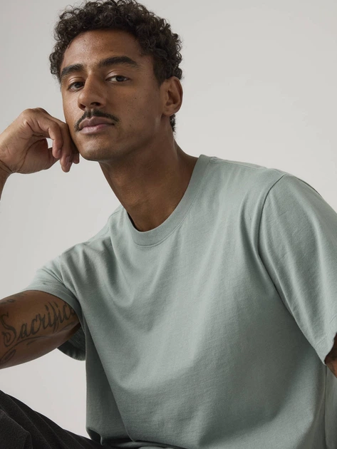 Футболка бавовняна довга чоловіча Levi`s Ng Essential Tee 005GZ-0010 L Сіра (5401187814681) - зображення 4